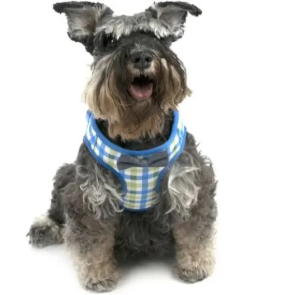 Vibrant Life Plaid Bowtie Dog Harness- Size S